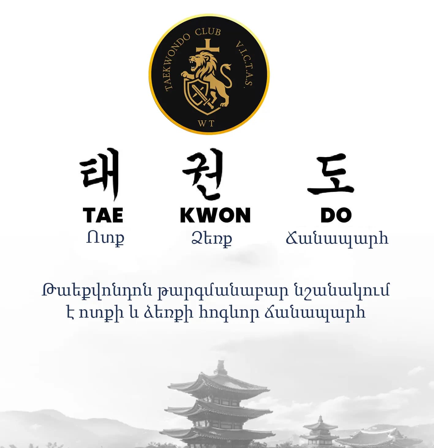 ԹԱԵՔՎՈՆԴՈՅԻ ՆՇԱՆԱԿՈՒԹՅՈՒՆԸ